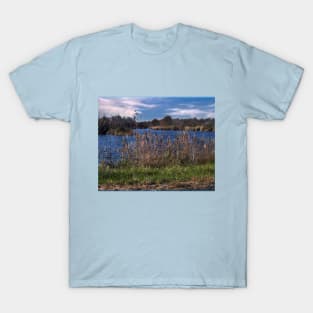 A Nice Day T-Shirt